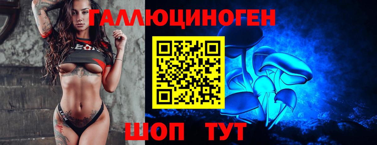 Геленджик  Галлюциногенные грибы Psilocybine cubensis  что такое   Вход с VPN 